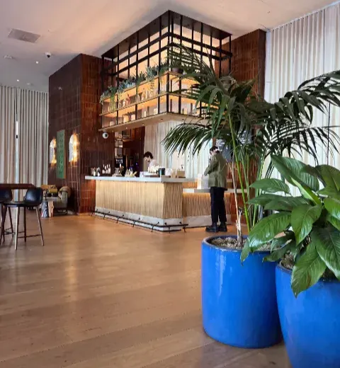 Otel salonu ve bar alanı