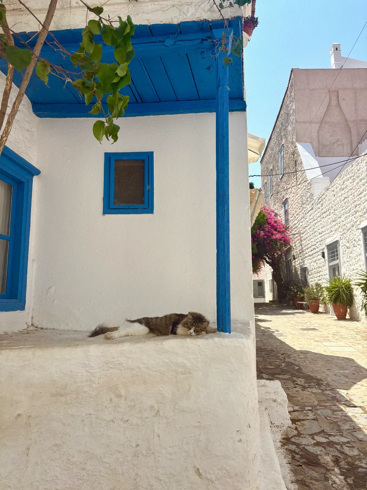 Schlafende Katze auf weiß getünchter Mauer in einer blau akzentuierten griechischen Gasse