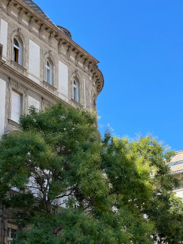 Fassade eines Budapester Wohnhauses hinter Bäumen